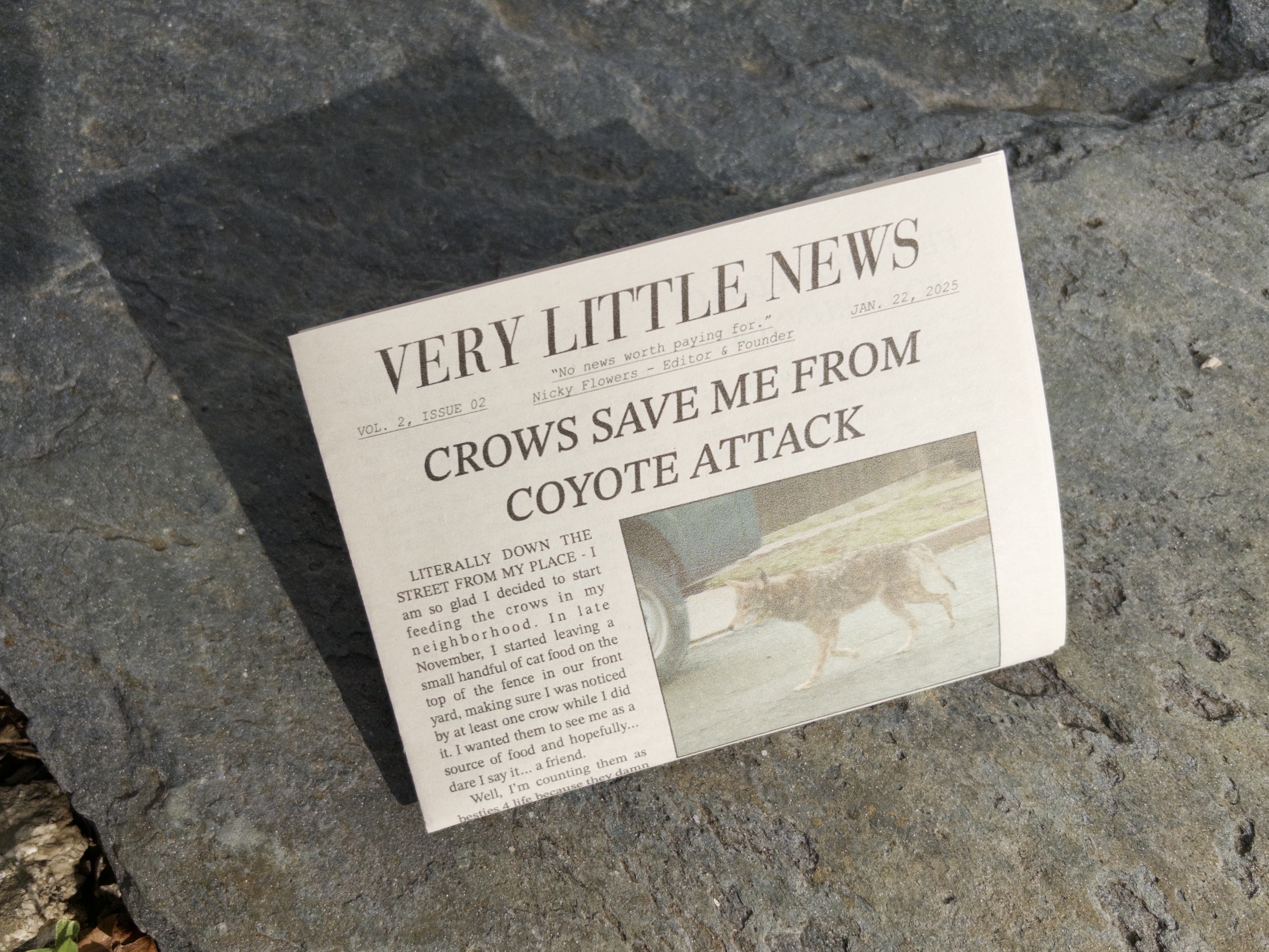 Vol. 2, Issue 2 (#12) of Very Little News